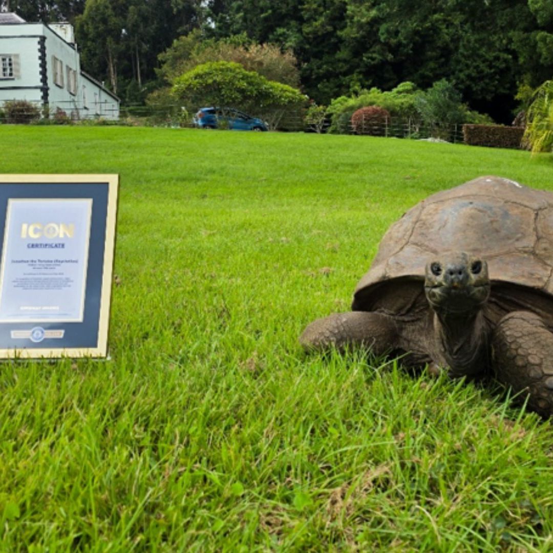 Tortuga más longeva del mundo
